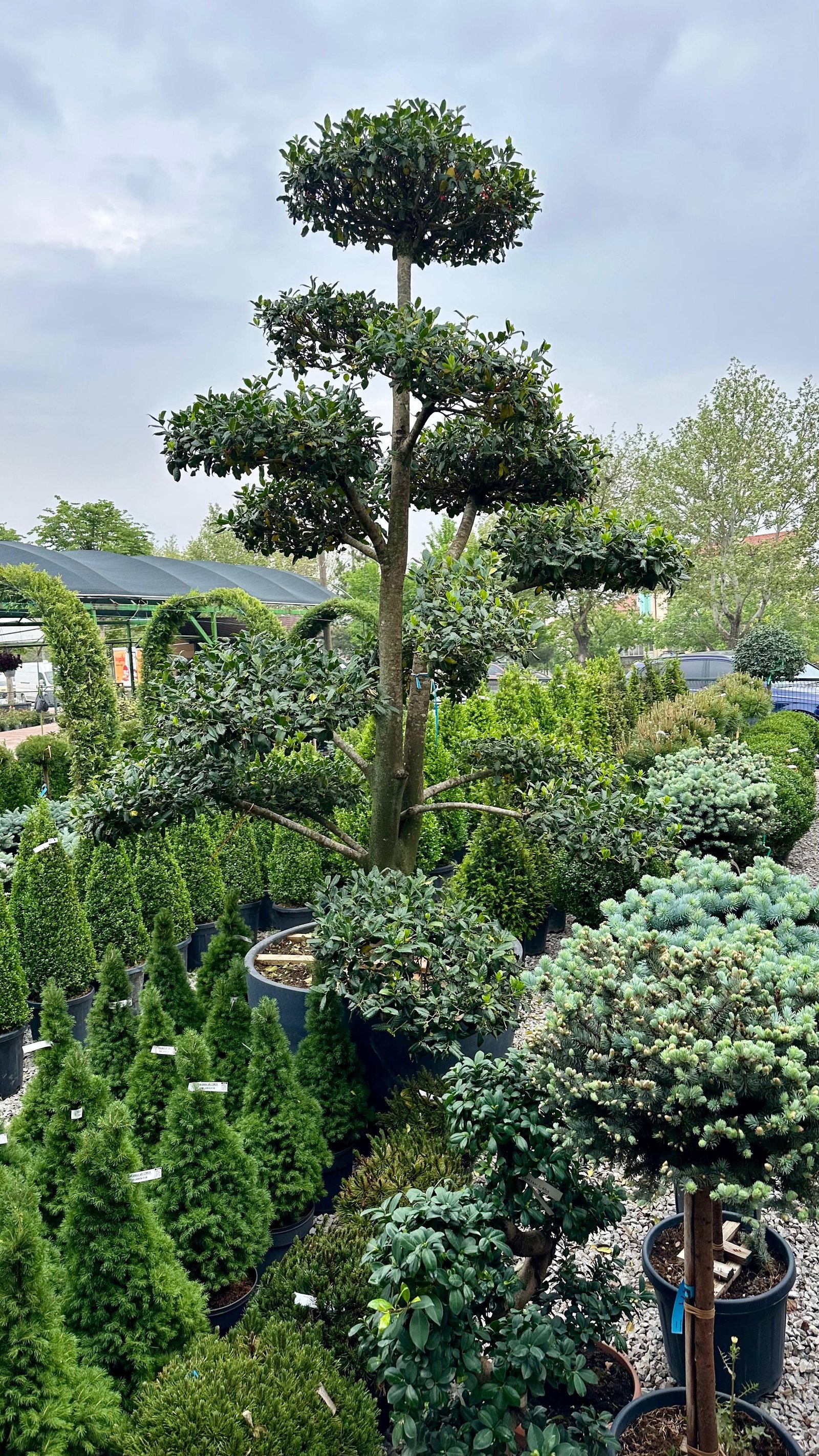 Karadağ Fidancılık & Peyzaj Hakkımızda